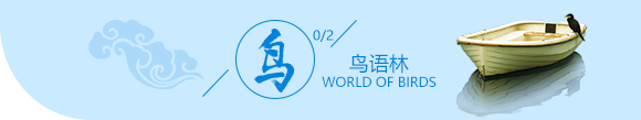 鸟林语