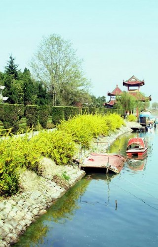 迎春