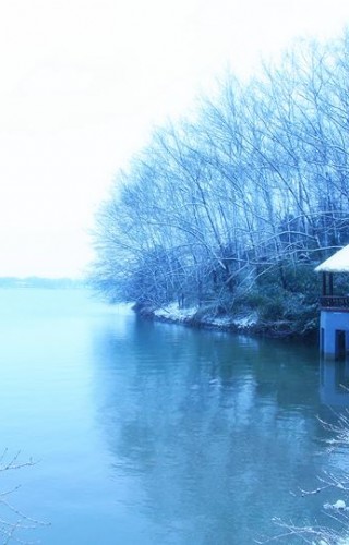 东区