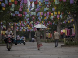 29、老街新韵---杨华成